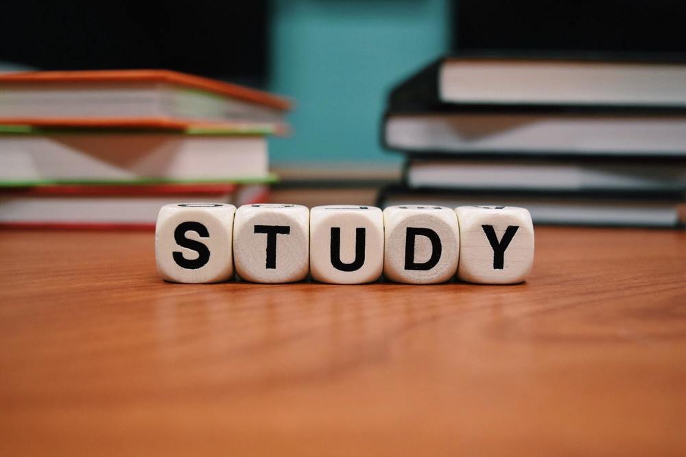 dice with letters - lined up to spell "study"