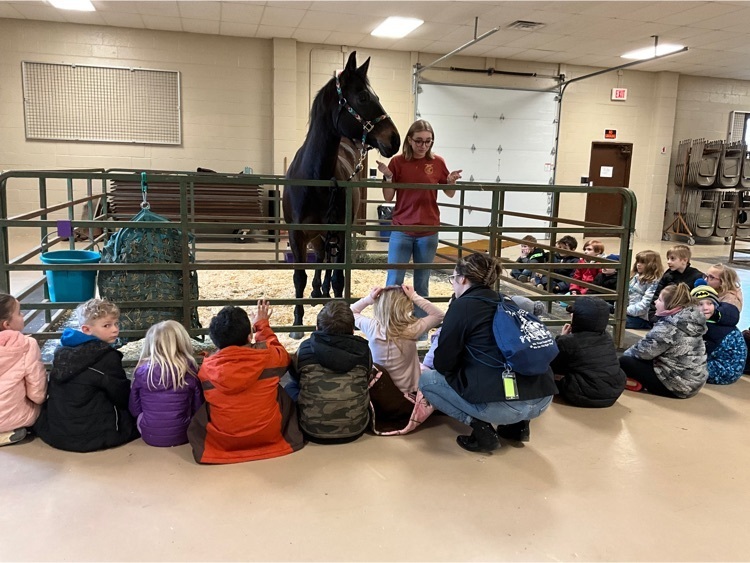 Hannah teaches horses